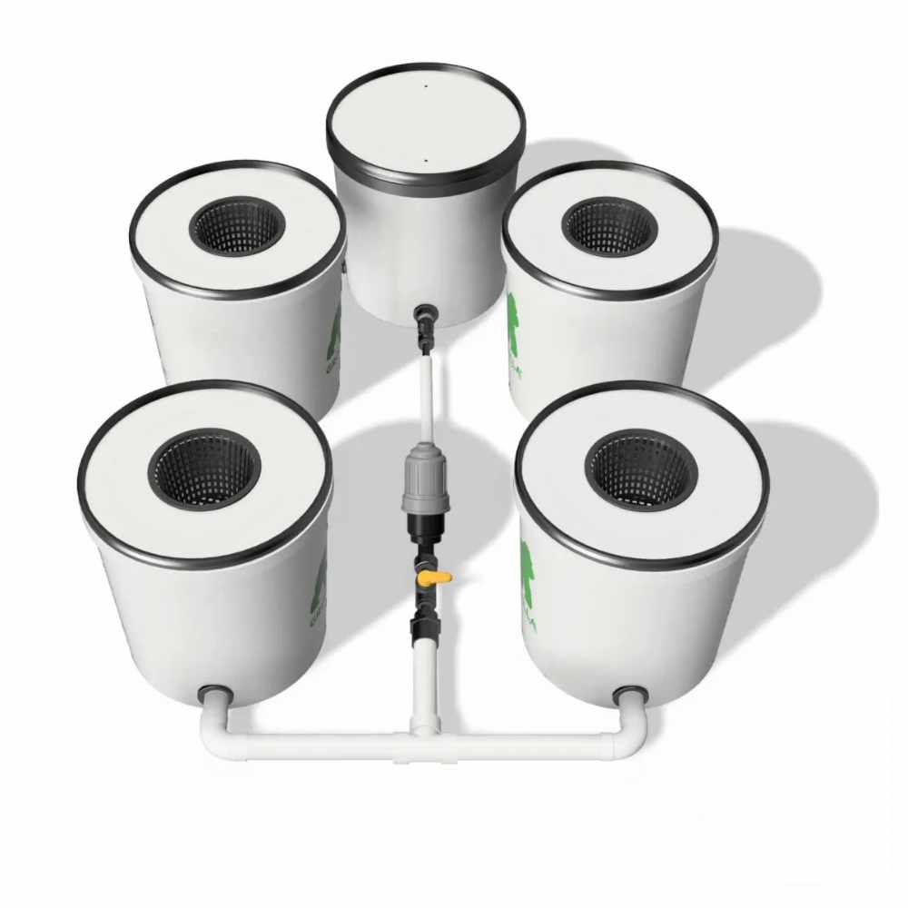 Growrilla RDWC 2.0 _ 4-Topfe 19L von oben